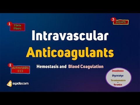 Hemostasis and Blood Coagulation | Intravascular Anticoagulants | Clotting Factors and Regulation