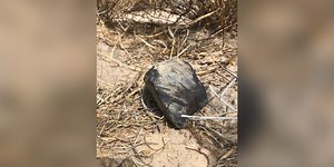 See the meteorite chunk that was found after slamming into Texas