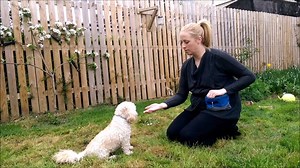 33K views · 128 reactions | Whether it's for training, rewarding or just playing, Pedigree Treats offer a tasty and responsible way to bond with your dog and look after their emotional well-being, just ask pet behaviourist Suzi Walsh. #PawsitiveLiving | Pedigree Ireland | Facebook