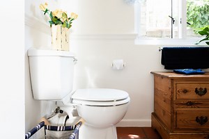 Common Toilet Problems You Can Repair Yourself