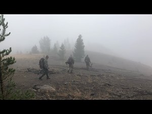 Montana Archery Elk 2022