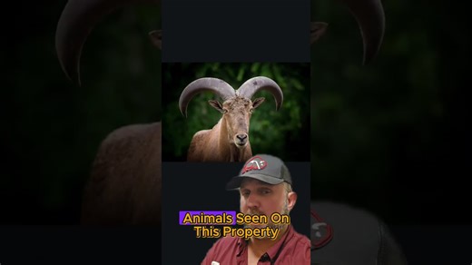 Large Ranches for Sale in Texas.. Nineteen Mile Ranch, 7500+ Acre Ranch, Uvalde County Texas