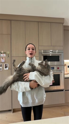 How to Properly Feed My Pets While Away