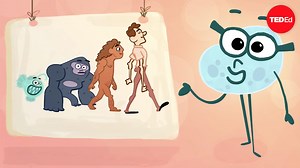 Myths and misconceptions about evolution