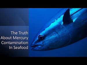 Mercury in Seafood: The Hidden Risk on Your Plate