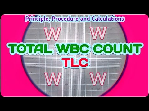 Total Leukocyte Count | TLC Blood Test Procedure | Total WBC Count Experiment
