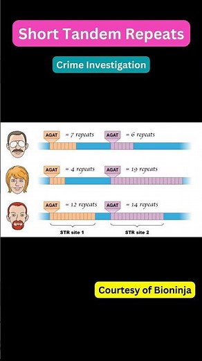Short Tandem Repeats or STRs #DNAFingerprinting #ForensicScience #PaternityTesting