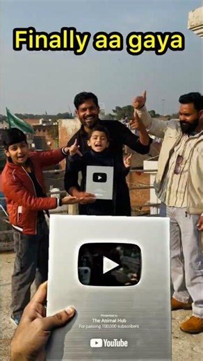 Mini Vlog 100 | Silver Play Button Unboxing & Celebration | The Animal Hub