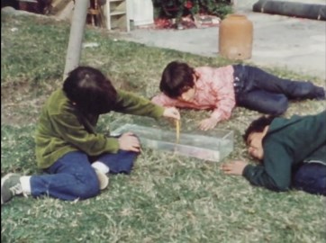 Science Experiment: Refraction of Sunlight with Water and a Pencil