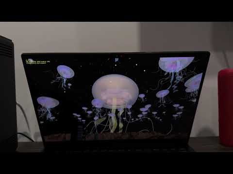 Passmark full benchmark on Asus Zenbook 14 OLED (2025)