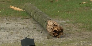 Drivers who hit utility poles pay for damage, possible replacement