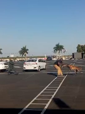 K9 Unit Showcases Precision in Tracking Escaped Inmates