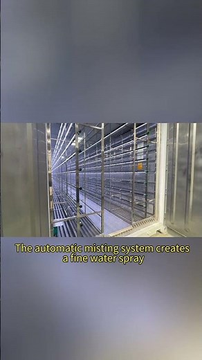 Fresh, Green Feed for Cows and Sheep | Grown in a Hydroponic Container!#fodder #hydroponics