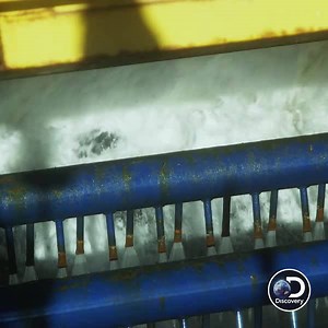 1M views · 210 reactions | We're shakin' and we're makin'. Get ready for an all-new Bering Sea Gold this Friday at 9p ET | Bering Sea Gold | Facebook