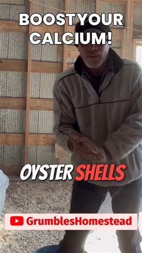 Every Chicken Owner Should Know This Trick #FarmLife #ChickenCare #Homesteading