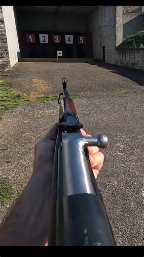 SKS 45, le fusil de surplus pour tous!