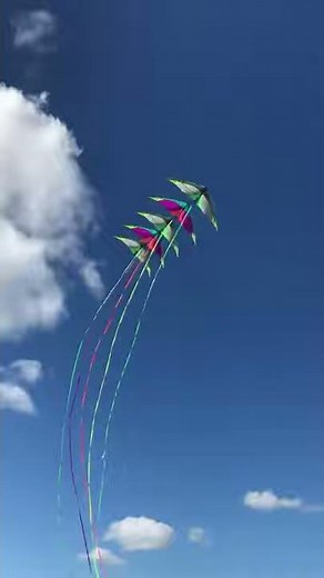 Prism Kites, Nexus 2.0, 5-Stack, Maiden Flight