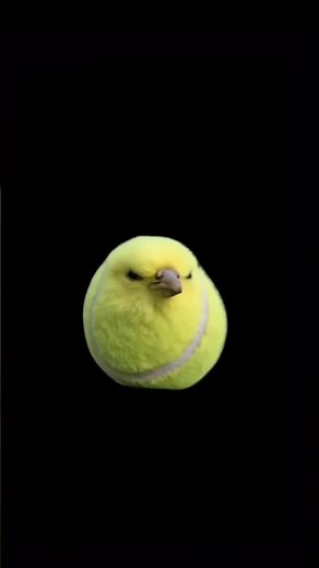 Tennis Ball Bird