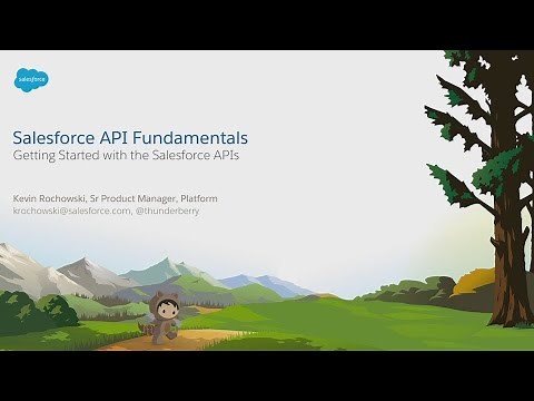 Salesforce API Fundamentals
