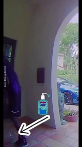 76K views · 2K reactions | This FedEx driver goes above and beyond during a delivery.  | Humankind | Facebook