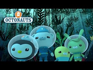 Octonauts: Extraordinary Adventurers!