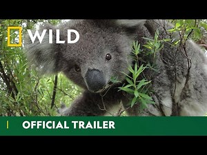 The Australian Outback | Wild Down Under - Official Trailer | National Geographic Wild UK
