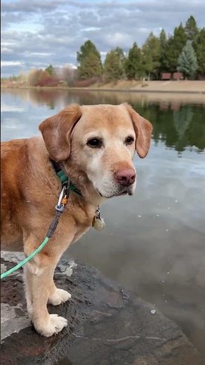 Hikes in Bend, Oregon are a must