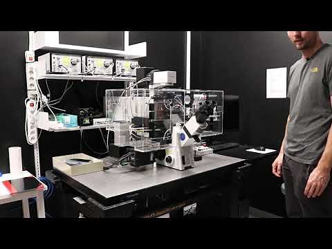 Bioimaging - Total Internal Reflection Fluorescence (TIRF) Microscope