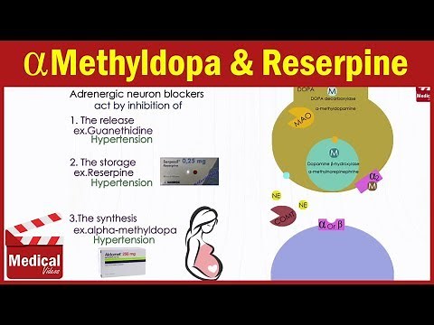 Pharmacology [ANS] 19- Adrenergic Neuron Blockers [ Guanethidine - Reserpine - Alpha methyldopa ]