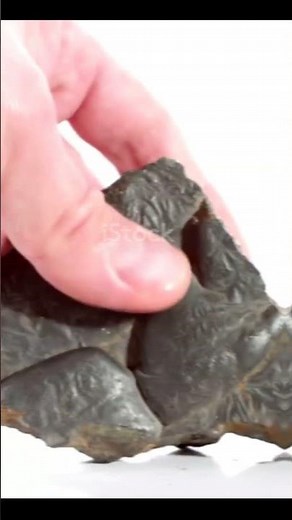 Meteorite Specimens 🌠 | Space Rocks That Landed on Earth!