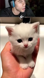 Dantes Got A Pleasant Surprise 🙂 #dantes #memes #reaction