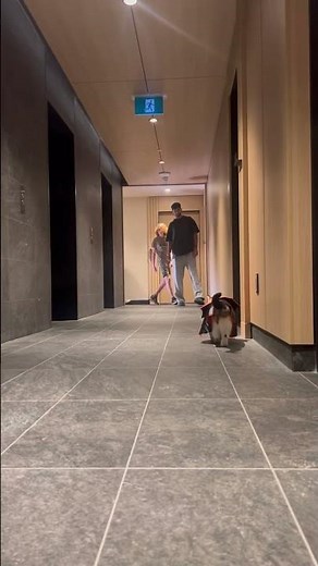 Her boyfriends are friends 🤣❤️ #cat