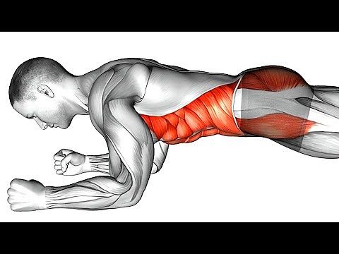 Plank Workout Challenge To Lose Belly Fat in 10 Day