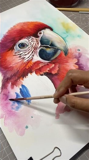 🦜 Watercolor Scarlet Macaw – Watch the Colors Come Alive! 🎨✨