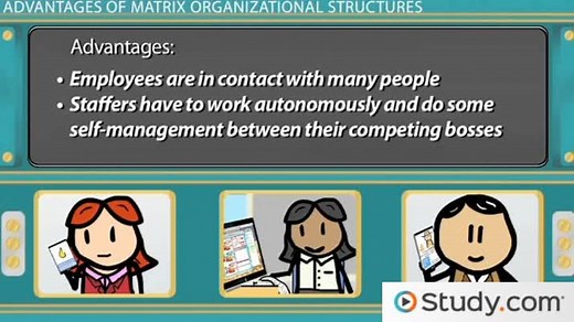 Matrix Organizational Structure | Definition, Pros & Cons - Video | Study.com