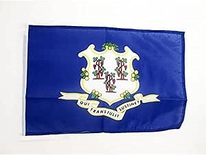 AZ FLAG Connecticut Flag 18'' x 12'' cords - US state of Connecticut SMALL flags 30 x 45cm - Banner 18x12 in