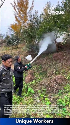 Tree spraying machine: people spraying mist on trees