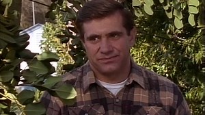 The Wonder Years [S03E15] The Tree House