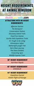 Animal Kingdom Complete Ride List