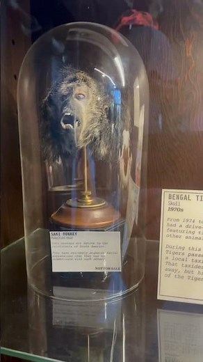 Rest in Pieces (Richmond)