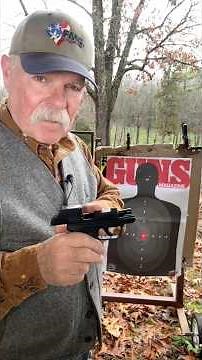 Ruger LCP MAX w/ ReadyDot