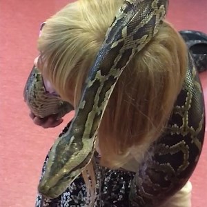 318K views · 175 reactions | This toddler has no fear when it comes to snakes  | In The Know Parenting | Facebook