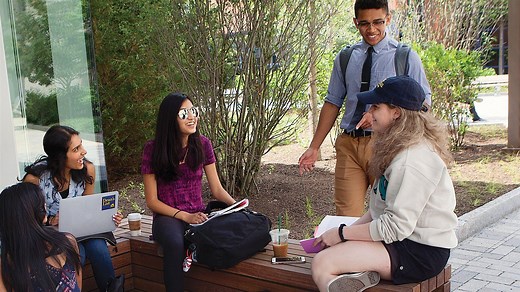 Undergraduate Programs