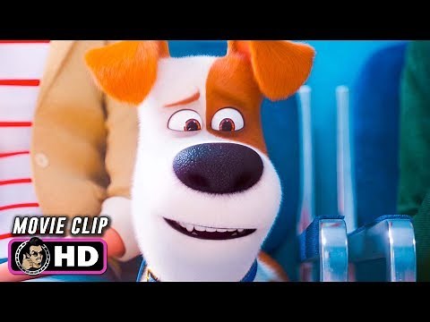 THE SECRET LIFE OF PETS 2 Clip - Waiting Room (2019)