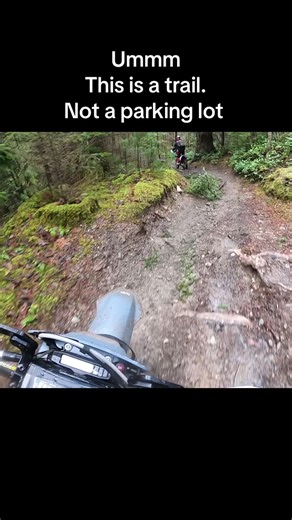 Trail Riding Adventures: Huskies in Action