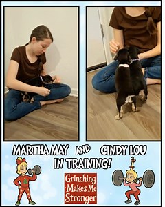 Happy Friday from Martha May (purple collar) and Cindy Lou (pink collar) 👏👏 Today, we introduced them to treats and learning to sit. Overall, "training" was a great start! 😉 Martha May was all about it and Cindy Lou was hoping to run off and explore! Ha! They both LOVED the treats, of course. 😍 A fun fact about Cindy Lou would be her adorable ears and how they look highlighted around the edge of them. She's so pretty! Martha May loves hair. 😂 She manages to find it quickly to put in her mou