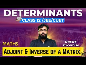 Adjoint & Inverse of a Matrix 🔥| Determinants 04 | Class 12 Maths Chapter 4 | Class 12 / JEE / CUET