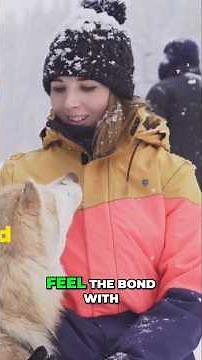 Arctic Dog Sledding: An Unforgettable Husky Adventure