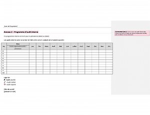 Programme d'audit interne [ISO 9001 modèles]