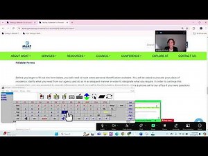 Accessibility Testing demo with a HeadMouse Nano and Jelly Bean Switch